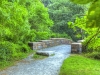 ompark_bridge